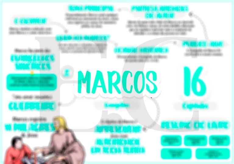 41-MARCOS-768x538-1.jpg